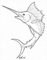 Marlin Swordfish Pez Espada Sailfish Peixe Peces Dibujos Sketches Coloringbay Sharpie Salvo sketch template