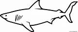 Squalo Shark Bianco Colorare Disegni sketch template
