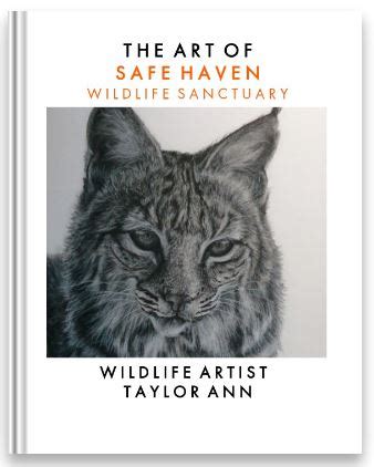 art  safe haven artists  conservation
