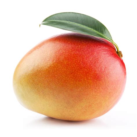 mango zubereitung und fakten zur frucht