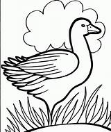 Coloring Pages Colouring Kids Printable Duck Print Color Drawing Duckling Bird Dippy Pre School 321coloringpages Animal Clipart Getdrawings Use Search sketch template