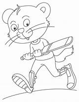 Cricket Coloring Funky Cat Playing Pages sketch template