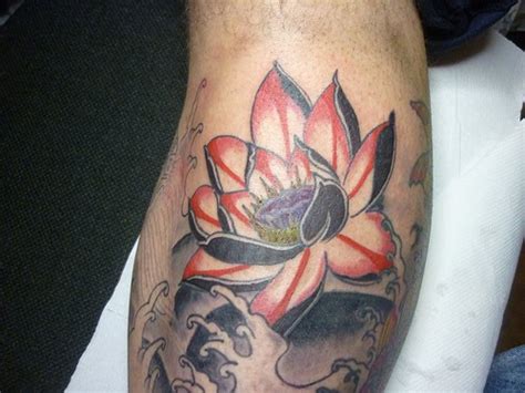 tattoos gallery lotus flower tattoo designs