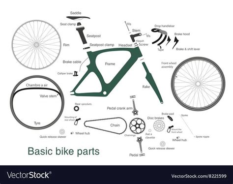 infographic   main bike parts   names    preview  high quality adobe