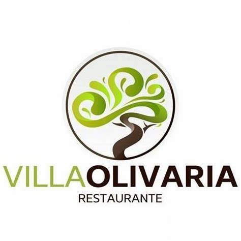 villa olivaria oliveira de azemeis rota da luz