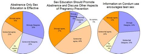 abstinence only education cons statistics best of the best education