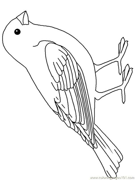printable bird coloring pages  coloring sheets