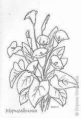 Calla Lilies Patterns Embroidery sketch template
