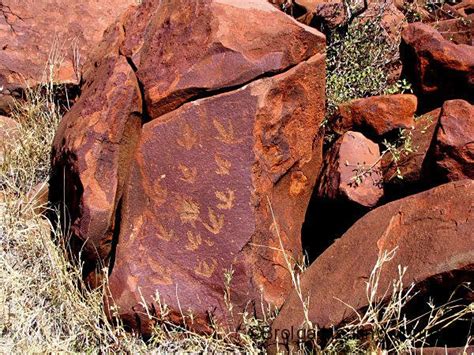 aboriginal rock art of the burrup peninsula brolga healing journeys