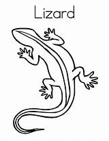 Mewarnai Gambar Cicak Lizard Colornimbus Dibawah Jangan Selamat Lupa Lalu Langsung Diprint Kemudian sketch template