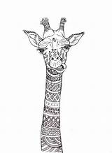 Zentangle Colorear Jirafa Maggi Giraffa Bulldog Lienzo Polígono sketch template