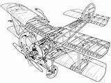 Sopwith Pup Plan sketch template