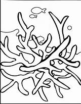 Seaweed Coloring Clipartbest sketch template