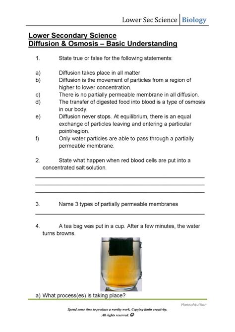 osmosis and diffusion practice worksheet answers