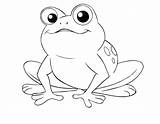 Frog Pages Toad Coloring Getcolorings Color sketch template