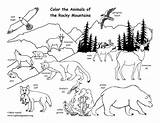 Coloring Mountains Rocky Animals Mountain sketch template