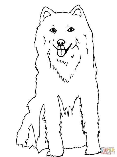 coloring pages  husky  coloring pages dog coloring page