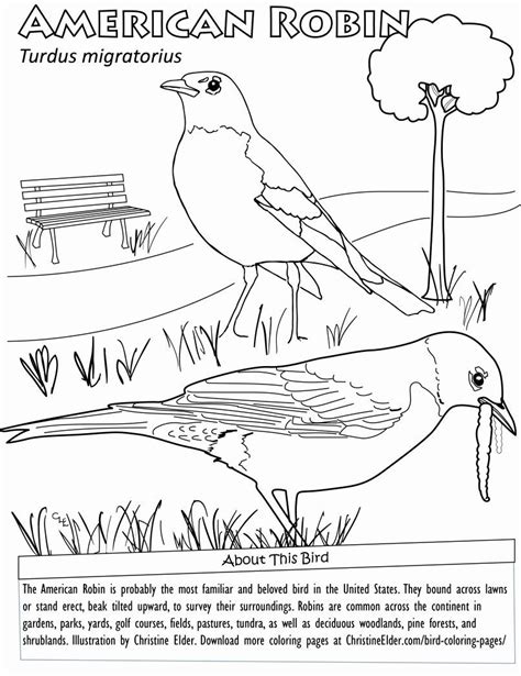 state bird coloring page lovely bird coloring pages bird coloring