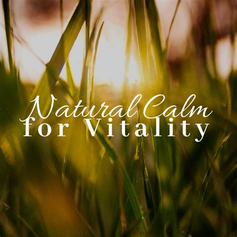 stream natural relief  meditation relax club listen