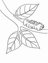 Caterpillar Coloring Pages Printable Color Insects Kids Template Colouring Caterpillars Hungry Clipart Duck Hunting Very Sheets Print Book Own Popular sketch template