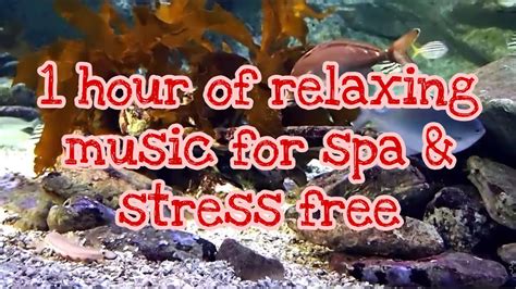 1 hour of relaxing music for spa meditation anti
