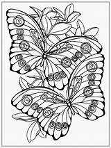 Coloring Pages Butterfly Adults Printable Adult Realistic Spring Color Stress Anti Girls Print Simple Sheets Butterflies Colouring Flowers Animal Kids sketch template