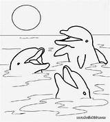 Dolphin Coloring Dolphins Playing Three Pages sketch template