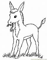 Coloring Donkey Pages Popular sketch template