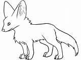 Fox Fennec Coloring Popular Lineart Coloringhome sketch template