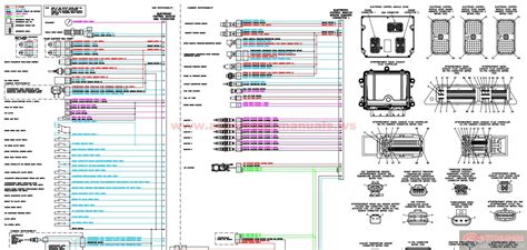 cummins  ecm wiring diagram