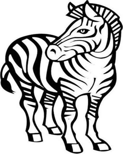 zebra awesome zebra drawing coloring page zebra coloring pages