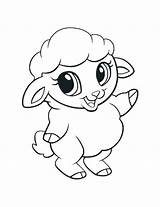 Coloring Cute Animal Baby Pages Lamb Kids sketch template