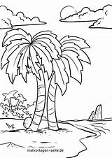 Palmen Palme Malvorlage Malvorlagen Pflanzen Mewarnai Kostenlose Kinderbilder Tanaman Halaman sketch template
