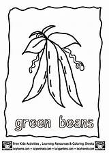 Beans Green Coloring Pages Vegetables Printable Growing Vegetable Kids Fruits Clipart Color Colouring Templates Lucy Sheets Library Fruit Printables Pyramid sketch template
