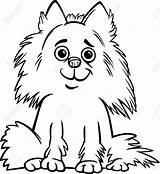 Pomeranian Coloring Pages Dog Printable Getcolorings Color sketch template