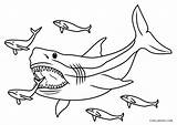 Megalodon Cool2bkids sketch template