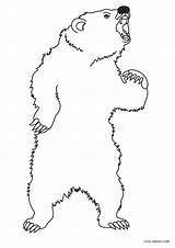 Bear Coloring Pages Printable Printables Kids Paw sketch template