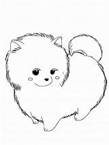 Fluffy Schattige Tekeningen Dieren Makkelijk Doggy Realistic 101coloring sketch template