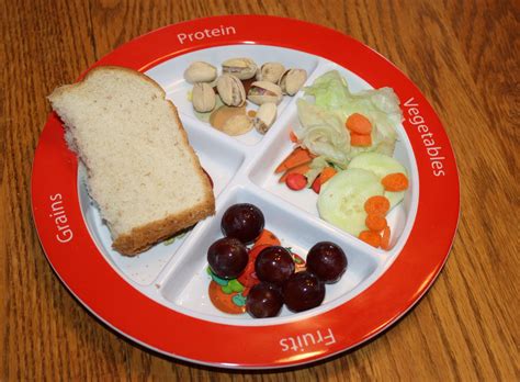 plate helps kids eat  food groups wholistic woman food eat