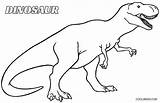 Kolorowanka Dinozaur Dinozaury Dinosaurier Kolorowanki Dinosaurio Raptor Velociraptor Druku Dinosaurios Ausmalbilder Cool2bkids Rysunek Kolorki Drukowania Esqueleto Malvorlagen Dla Diplodok sketch template