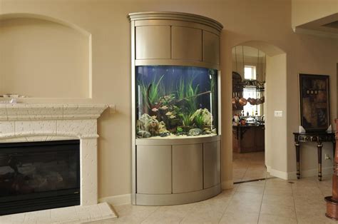 recessed custom freshwater bowfront aquarium  stainless  cabinetry  fish gallery