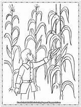 Milharal Colheita Crops Pilgrims Pilgrim Maiz Harvesting Menino Ajudando Milho Cosecha Designlooter Rainbocorns Tudodesenhos Cornfield Niños Codes Insertion sketch template