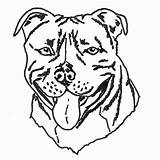 Drawing Terrier Bull Coloring Pages Pitbull Dog Head Tupac Basic Staffy Staffordshire Yorkshire Drawings Getdrawings Clipart Colouring Pit Puppy Bird sketch template