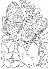 Coloring Adults Pages Printable Only Print Butterfly Detailed Colouring Adult Spring Kids Simple Awesome Insect Pdf Collections Owl Elegant Fun sketch template