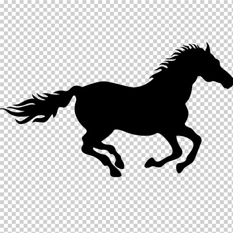 caballo dibujo silueta corriendo mamifero animales monocromo png