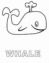Whale Wal Baleine Ausmalbilder Whales Coloriages sketch template