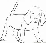 Beagle Coloringpages101 Designlooter sketch template