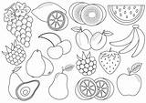 Frutta Fructe Colorat Disegnare Planse Berries Copiare Mame Totul sketch template
