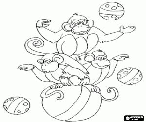 monkeys playing  balls coloring page monkey coloring pages