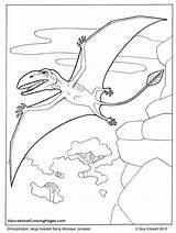 Dimorphodon Dinosaur Coloring Coloringpagebook Pages Kids sketch template